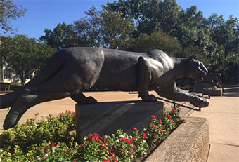 UNIVERSITY-OF-HOUSTON